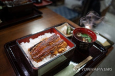 장어 덮밥 더 비싸지나…민물장어 멸종위기종 등재될지도