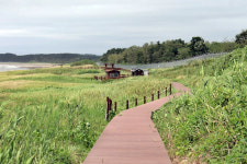 보령시, 국토부·환경부 협업사업 생태관광 컨설팅 대상지로 선정
