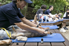 반려동물과 함께 산림치유 체험 어때요?