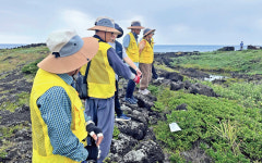 시니어 시민과학자 만난 AI, 제주숲 보전의 눈으로
