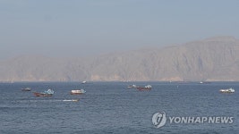 트럼프, 호르무즈 해협 통항료 20% 부과 선언… 구체적 적용 방식 미확정에 국제사회 반응 엇갈려