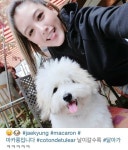 최모정애견 | [Selfie ★] "킴~디자이너"…재경, 셀프 애견 미용