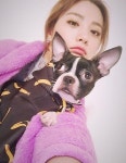 [Selfie ★] 내 사랑 반려견…나나, 러블리 꽃미녀