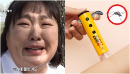 이수지 모기 전쟁 종결템 떴다...손톱 십자 대신 가려움 해결 터치훅 개발