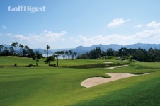 [남도로 가는 길목에서①] 다산베아채 동백꽃 다화가 흐드러지는 곳