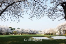 대한민국을 대표하는 베스트 톱 15 골프 코스