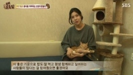 동물농장 배다해, 버려진 고양이 준팔이 살려 눈길