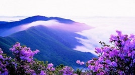 소백산 탐방로 일부 통제…위반할 경우에는?