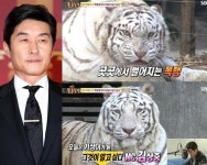 동물농장 김상중, 백호 네래이션…그런데 말입니다 폭소