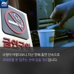 [카드뉴스] 금연 구역? PC방은 여전히 너구리굴