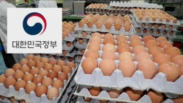 작년 국감서 이미 살충제 계란 지적…정부, 뒷북 논란
