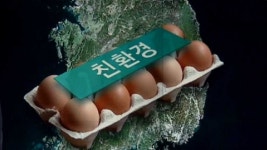달걀 농장 60곳서 살충제 추가 검출…껍데기만 친환경