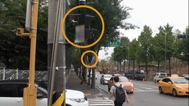 [소탐대실] 학교 앞 신호등, 누가 자꾸 돌리나