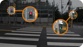 [소탐대실] 학교 앞 신호등, 누가 자꾸 돌리나