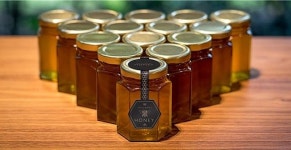 [박상욱의 기후 1.5] 양봉장 만들고 태양광으로 공장 돌리는 자동차 제조사들