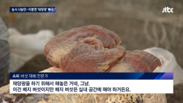 [단독]20년 태양광 계약 부정 사례 적발 한 번도 없어
