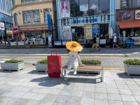 부산 해운대구, 뚜벅이 관광객 위한 일로온나 거리 조성