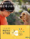 해운대구 유기동물을 입양합시다