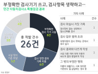 검사항목 생략하거나 불량 장비로 검사하거나…민간 자동차 검사소 26곳 적발