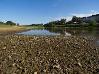 올해, 지구가 가장 더웠던 7월 톱3…기후변화에 경제손실도 커져