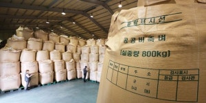 [JTBC 뉴스레터600] 줄줄이 단독 법안…정치실종 사건