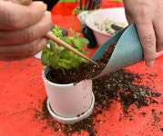 [트렌드+] 내 식물 왜 이래?…식물병원 가봤습니다