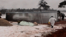 충북 구제역 3곳 늘어 총 10곳...한우농장 이어 염소농장까지