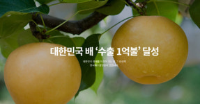 [핫코노미] 수출 '유망' 품목에 왜 인덕션ㆍ배ㆍ넙치가 들어가지?