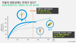 [박상욱의 기후 1.5] 광합성에도 한계가 있다? 작물과의 햇빛 나누기 영농형 태양광