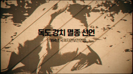 오늘 독도의 날…서경덕 교수 멸종된 강치 역사 널리 알릴 것