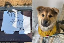 키우실 분 공짜! 공원에 버려진 뚠밤이…임시보호 가족 만나