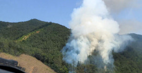 전남 화순 야산서 산불 …1시간 23분 만에 진화