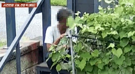 [사반 제보] 주인 행세 끝판왕...포도밭 서리한 어르신