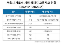 [팩트체크] 가로수 심어 보행자 안전 책임진다?