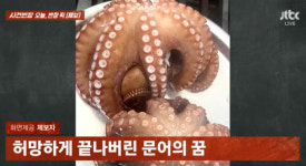 나는 문어, 꿈을 꾸는 문어~ 꿈꾸다 삶아진 사연