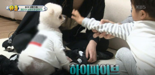 [슈퍼맨이 돌아왔다] 승재, 강아지 뒤꽁무니 졸졸 ‘밀착마크’...강아지 훈련시키다 간식 인터셉트