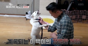 [개는 훌륭하다] 고막 찢을 듯한 이백이 울부짖음에 보호자도 출연자도 기겁