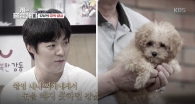 [개는 훌륭하다] 보조MC 강남, 기고한 유기 강아지 사연에 즉석에서 입!양!결!정!