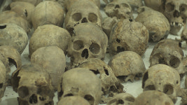 [BIFF] 부산국제영화제 비프메세나상 후보작 공개