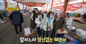 [박원숙의 같이 삽시다 시즌3] 사선녀의 해남 여행 이야기