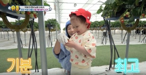 [슈퍼맨이 돌아왔다] 사유리네, 젠과 빅보이들의 딸기밭 습격 사건!