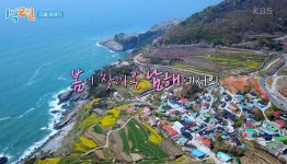 1박 2일 봄이 찾아오는 남해,  청춘 여행의 승자는?
