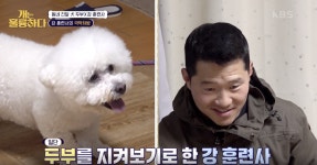 [개는 훌륭하다] “브레이크 고장난 중고차 산 것과 같아” 찰떡 같은 강형욱 비유에 긴장하는 보호자