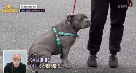 [개는 훌륭하다] 집안 전쟁 스트레스로 통제 불능 상태로 급변한 ‘순심이’의 공격성