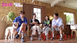 [2장1절] 사람 손길 거부하던 개 농장 구조견, 애정 가득한 보호자 케어로 ‘순찰견’ 합격!