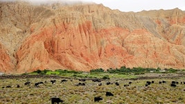 EBS 세계테마기행..  금단의 땅 ‘무스탕’  (2일~5일 저녁 8시 40분, EBS1)