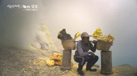 화산 위 극한직업, 맨몸으로 유황 캐는 아버지 (다큐인사이트 화산, 인간 2부)