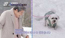 [동물은 훌륭하다] 반려견 ‘보리’ 위해 요리 실력 뽐내는 가수 진성, 떡국+잡채 명절 펫시피 4종 공개!