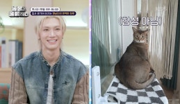 [동물은 훌륭하다] NCT WayV, 루이+리언+레비 고양이 삼 형제를 위한 특별한 ‘펫시피’ 공개!