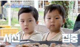 [슈퍼맨이 돌아왔다] “진또배기 삼촌 줄까?” 최애 삼촌 이찬원 위해 밤 줍기 열정 불태우는 정우